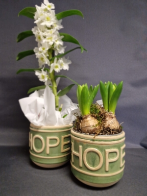 Hope Vase