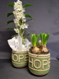 Hope Vase